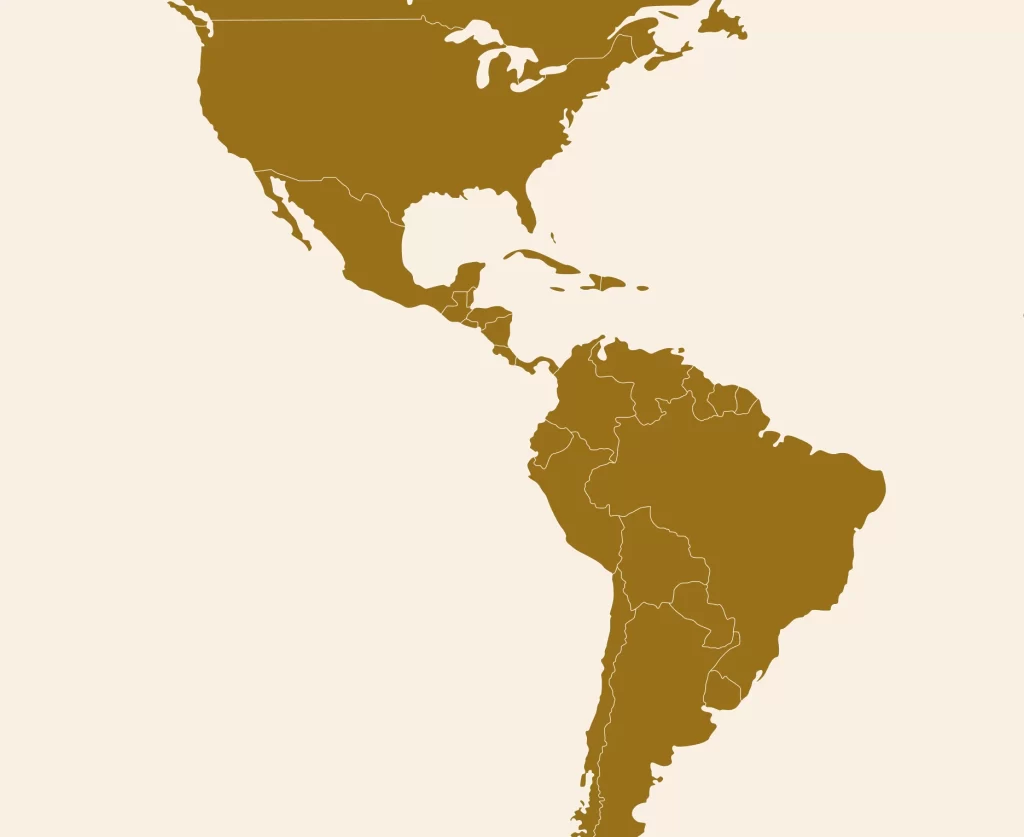 Presencia Internacional